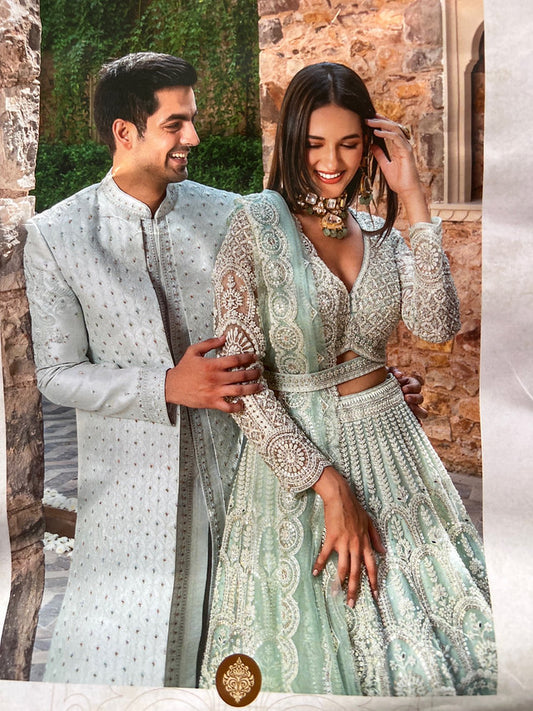 Charming Sea Green Imported Soft Net Dull Golden Embroidered